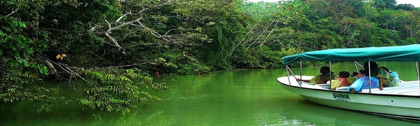 gamboa-panamajpg.jpg