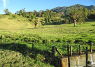 Viaje a Panama | Boquete