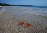 Viaje a Panama | Bocas Estrella