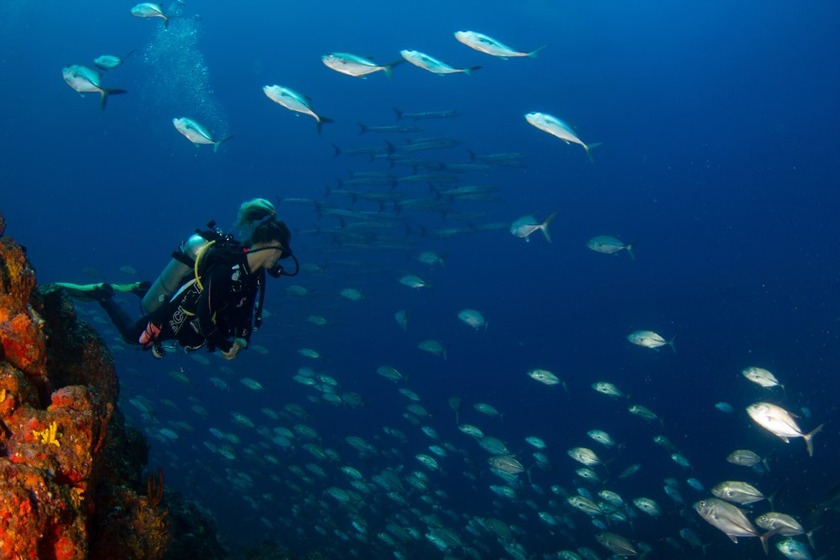 Coiba Island 1.jpg