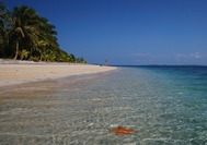 Isla Estrella Bocas del Toro