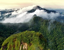 Foto Cabecera_Bosque de Campana.jpg