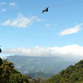 Viajes a Panama | Canopy, Boquete