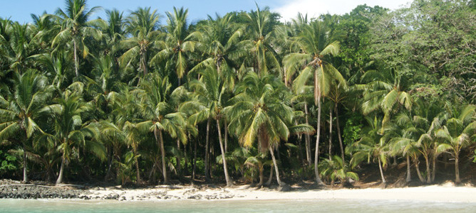 Viaje a Panama | Boca Chica.jpg Viaje a Panama | Boca Chica.jpg