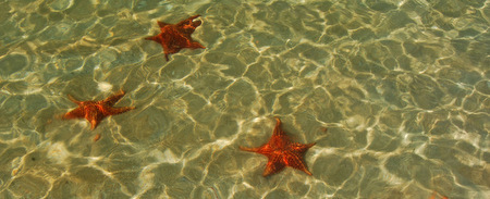 Viajes a Panama | Estrellas Viajes a Panama | Estrellas