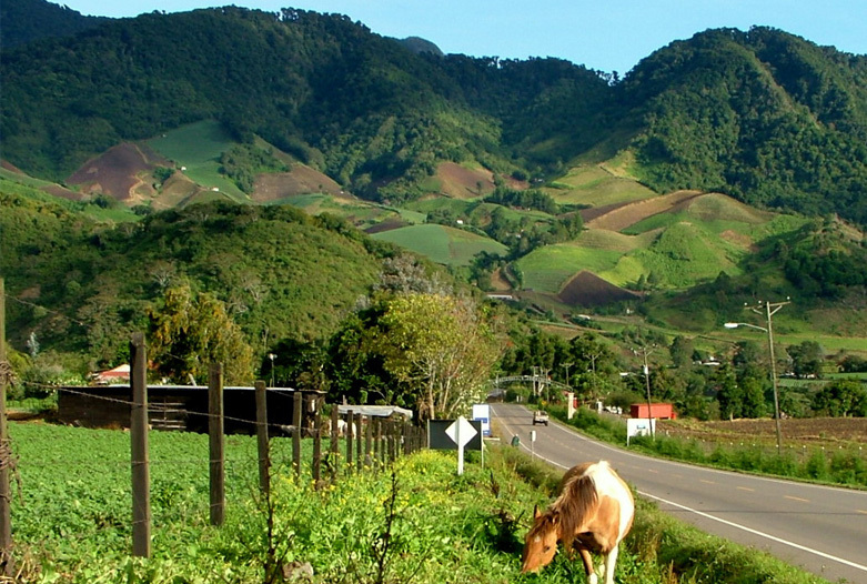 Viajes a Panama | Cerro Punta, Boquete